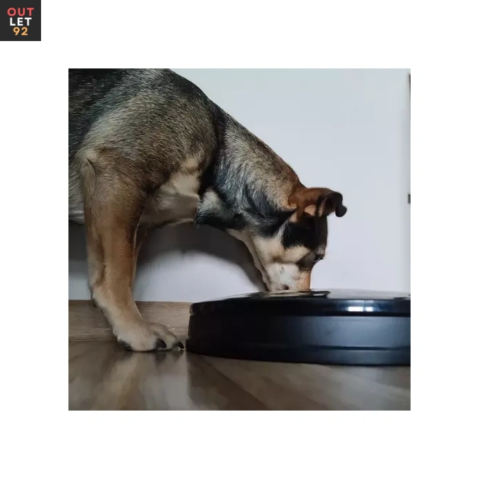 lemmiklooma kassi koera automaatsöötja 3.webp