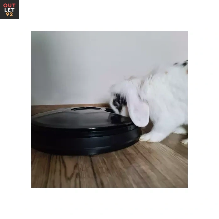 lemmiklooma kassi koera automaatsöötja 4.webp