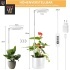 Sondiko taimelamp, 140cm, 72 LED-iga, 3 valgustusrežiimi, taimer, 9 heledust.2.jpg