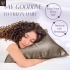 outlet92.40x40olesilk4.jpg